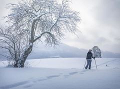 Snowshoe hiking Ebbs