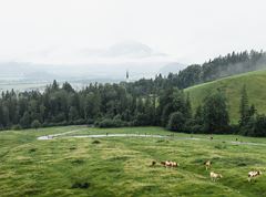 KOASA-Marsch Talwanderung 