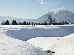 Premium winter hiking trail - panoramic trail