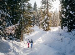 Premium Winterwanderweg - Wäschkogelrunde
