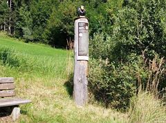 The Thiersee Jochgeier