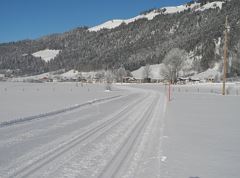 Schwaigsloipe