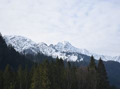 Ursprungweg - Lange Etappe 4 Riedenberg