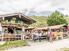 Walleralm Rundtour