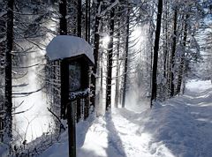 Winter walk around Niederndorf