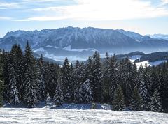 Winterwandern über den Erlerberg