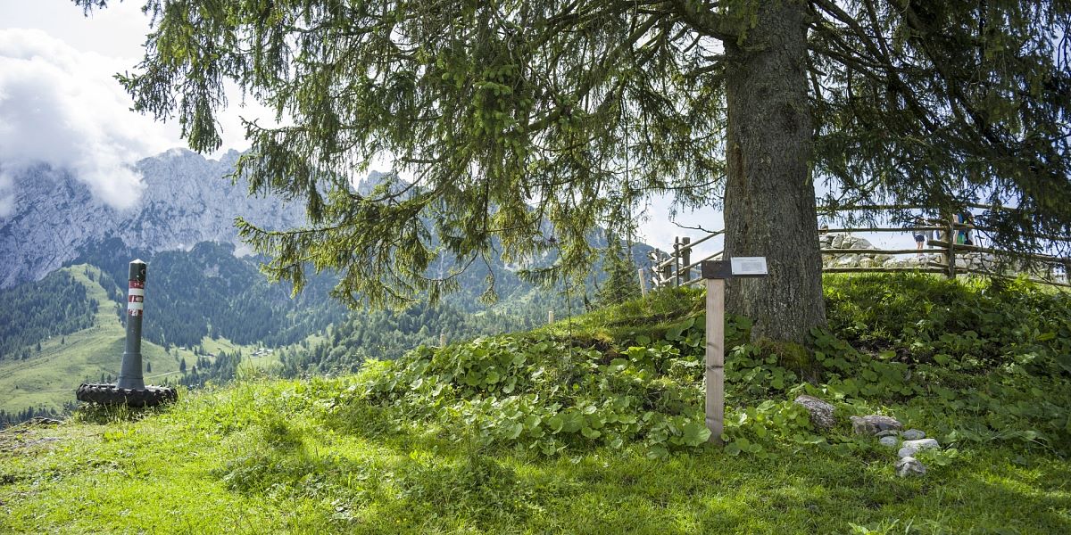Go on a journey through time on the geology path