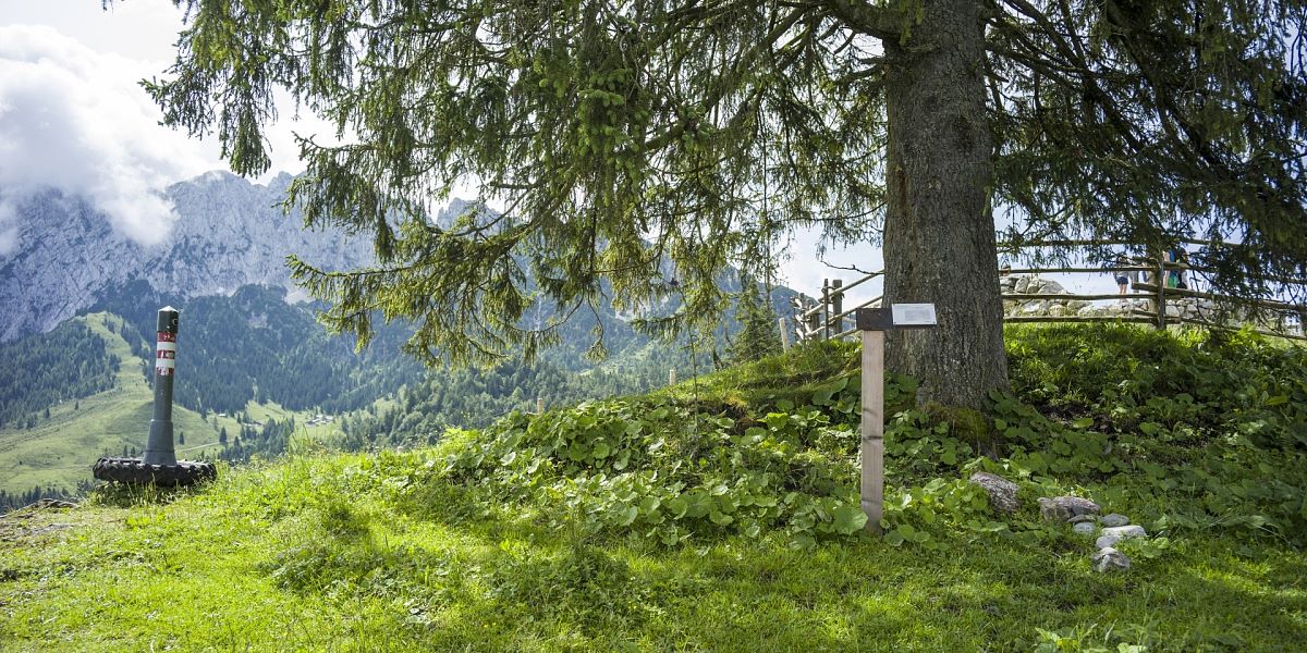 Auf Zeitreise gehen am Geologiepfad