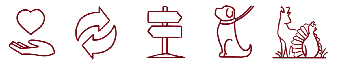 Icons_gemeinsam