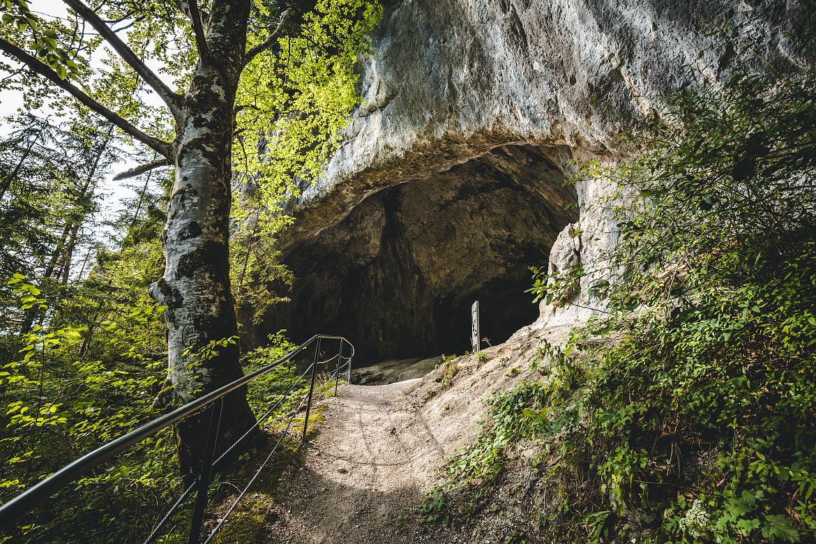 naturerlebnis_kaisergebirge_copyright_mathaeus_gartner (51)